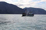  Whale-Watching Husavik 