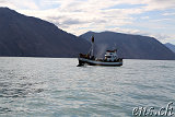  Whale-Watching Husavik 