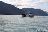  Whale-Watching Husavik 