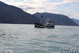  Whale-Watching Husavik 