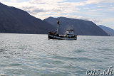  Whale-Watching Husavik 
