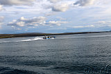 Whale-Watching Husavik 