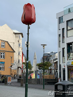 Rainbow - Street