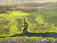 Island - Grün