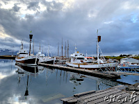 Walbeobachtungs-Boote