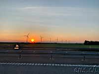 Bald in Hirtshals