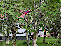 Seyðisfjörður