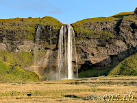 Seljalandsfoss