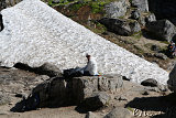 Kjerag - Bolten