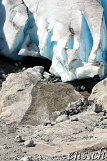 Nigardsbreen