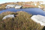 Kjerag - Kjeragbolten : der Rückweg