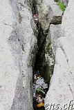 Preikestolen