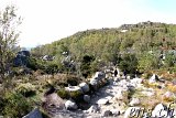 ... und der Rückweg zum Preikestolen-Parkplatz