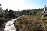 ... und der Rückweg zum Preikestolen-Parkplatz