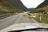 ... und weiter Richtung Briksdalsbreen