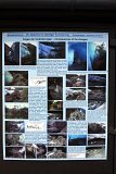 Infotafel Briksdalsbreen