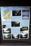 Infotafel Briksdalsbreen