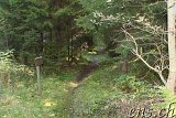 Richtung Faberg-Helleristningene(r)