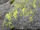 Kjeragbolten - Kjerag - Øygardstølen - Lysebotn - Lysefjord