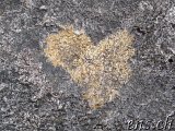       ♥