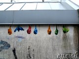 Bergen Graffiti