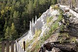 Mysuseter - Kvitskriuprestene