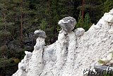 Mysuseter - Kvitskriuprestene