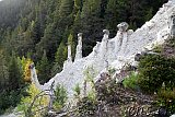 Mysuseter - Kvitskriuprestene