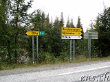 Mysuseter - Kvitskriuprestene