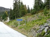 Mysuseter - Kvitskriuprestene