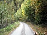 Mysuseter - Kvitskriuprestene