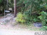 Mysuseter - Kvitskriuprestene