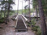 Mysuseter - Kvitskriuprestene