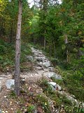 Mysuseter - Kvitskriuprestene