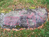 Felsgravuren Högsbyn