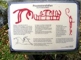 Felsgravuren Högsbyn