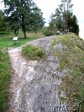 Felsgravuren Högsbyn