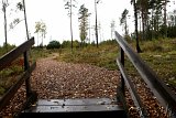  Felsritzungen Tanumshede 
