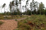  Felsritzungen Tanumshede 