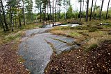  Felsritzungen Tanumshede 
