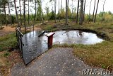  Felsritzungen Tanumshede 