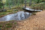  Felsritzungen Tanumshede 