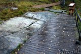  Felsritzungen Tanumshede 