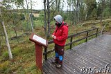  Felsritzungen Tanumshede 