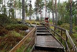  Felsritzungen Tanumshede 