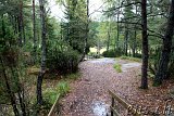  Felsritzungen Tanumshede 