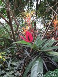  Botanischer Garten Göteborg 