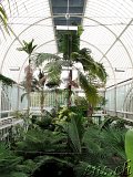  Botanischer Garten Göteborg 