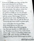  Felsritzungen Tanumshede 
