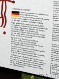  Felsritzungen Tanumshede 